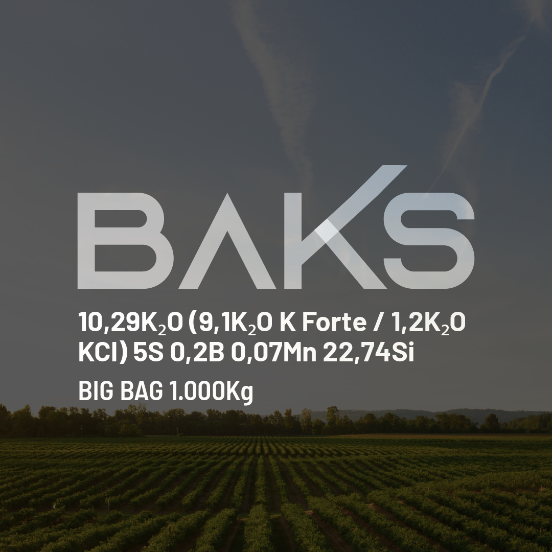 Baks 10,29K2O (9,1K2O K Forte/1,2K2O KCl) 5S 0,2B 0,07Mn 22,74Si - Big Bag